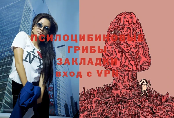 PSILOCYBIN Абинск