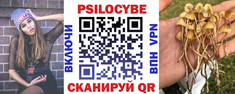 закладка  Урус-Мартан  ссылка на мегу как войти  Псилоцибиновые грибы прущие грибы 