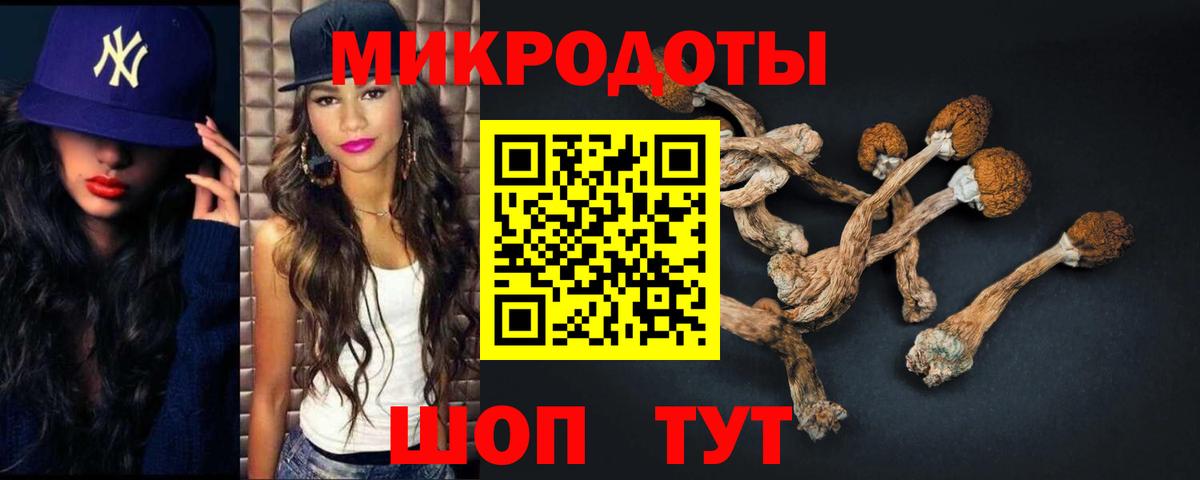 Урус-Мартан  Псилоцибиновые грибы Magic Shrooms  Вход с VPN  купить   Псилоцибиновые грибы GOLDEN TEACHER 